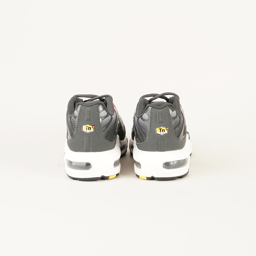 
                  
                    NIKE AIR MAX PLUS
                  
                