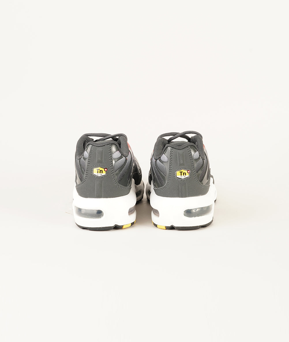 
                  
                    NIKE AIR MAX PLUS
                  
                