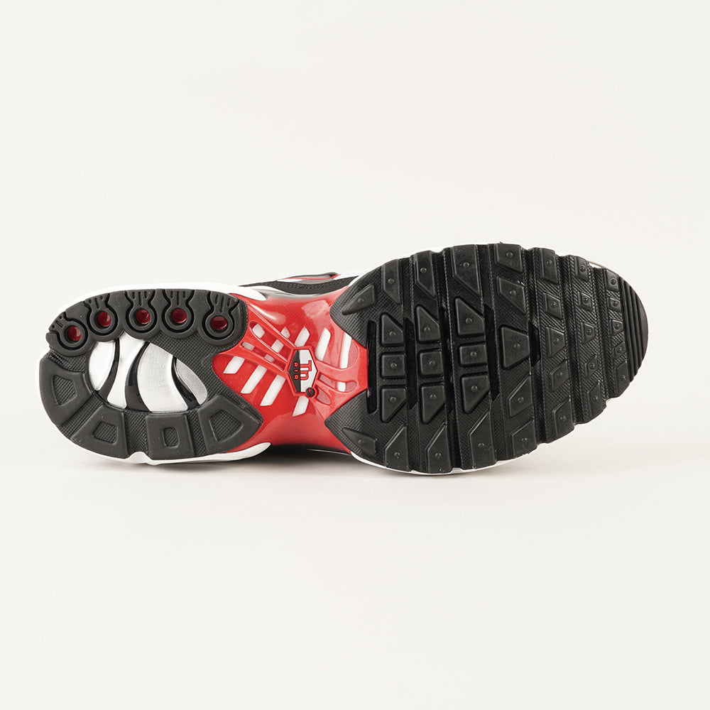 
                  
                    NIKE AIR MAX PLUS
                  
                