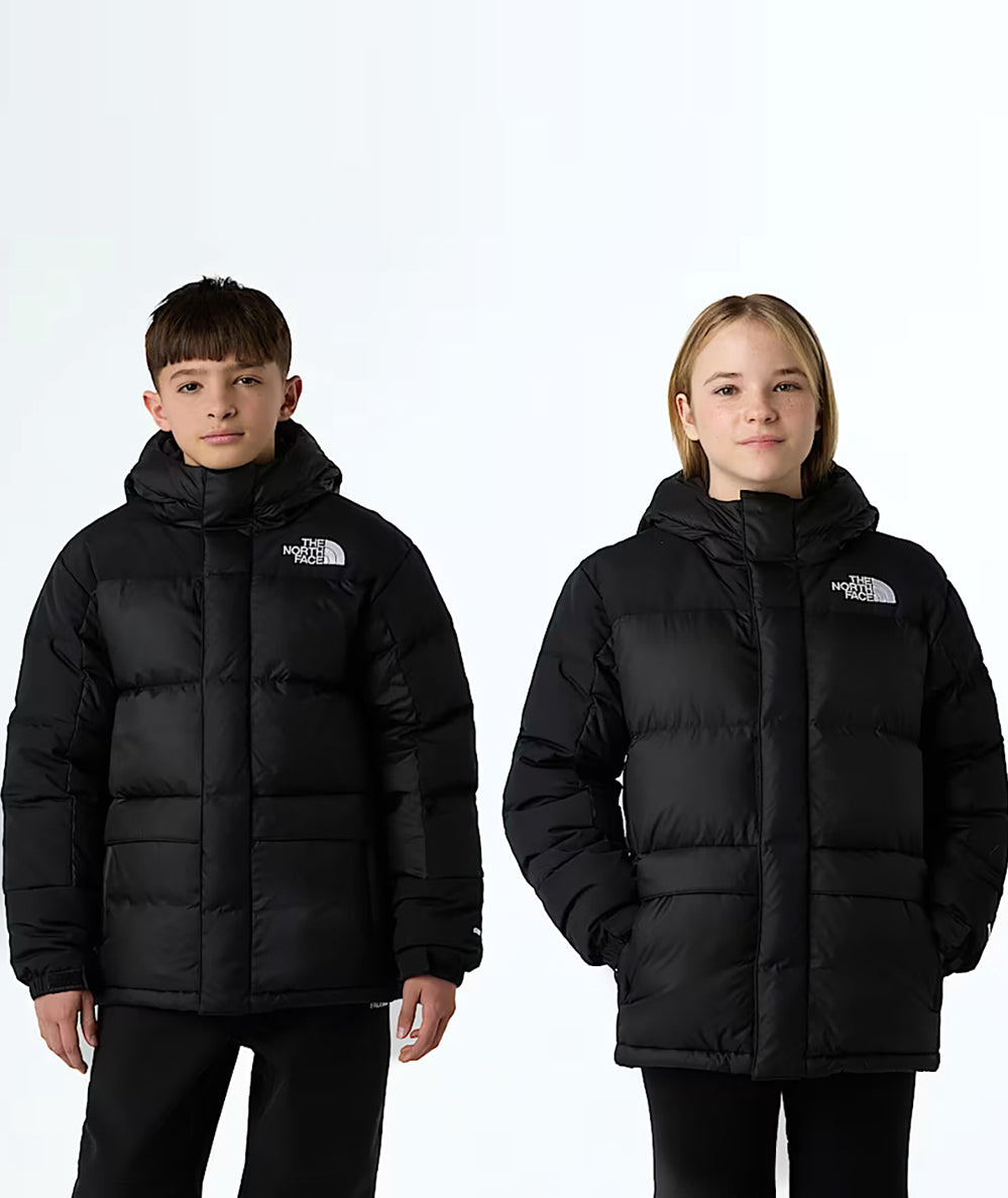 THE NORTH FACE SHORT PARKA