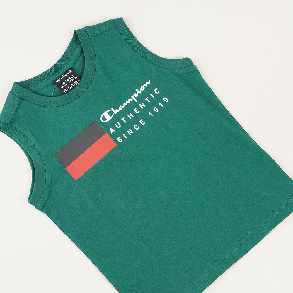 
                  
                    CHAMPION GS571
                  
                