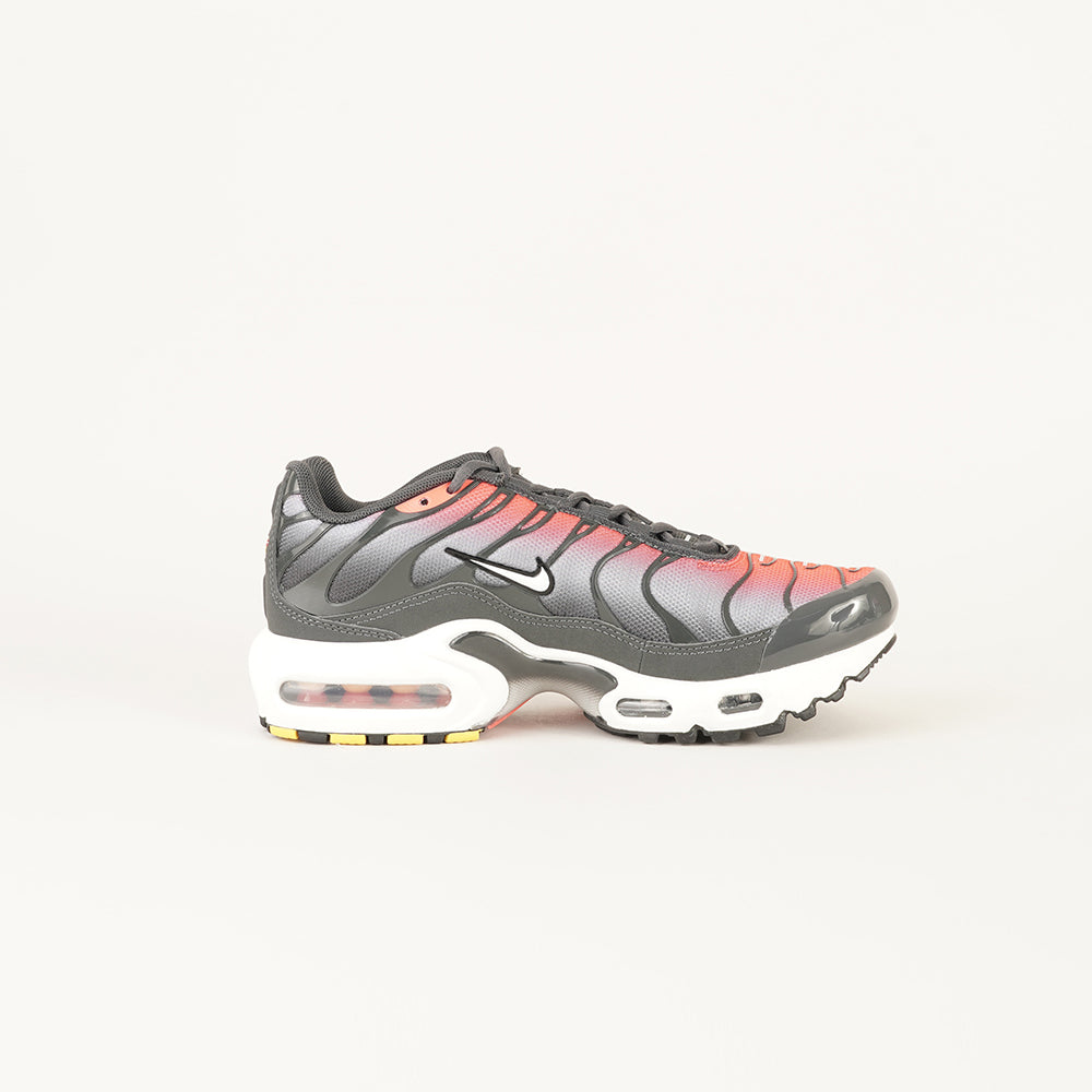 
                  
                    NIKE AIR MAX PLUS
                  
                
