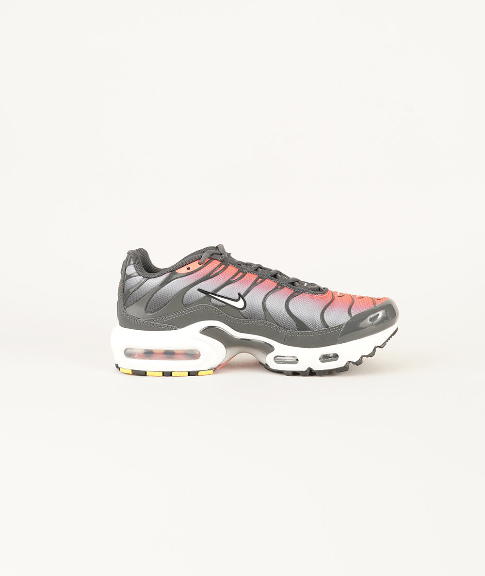 
                  
                    NIKE AIR MAX PLUS
                  
                