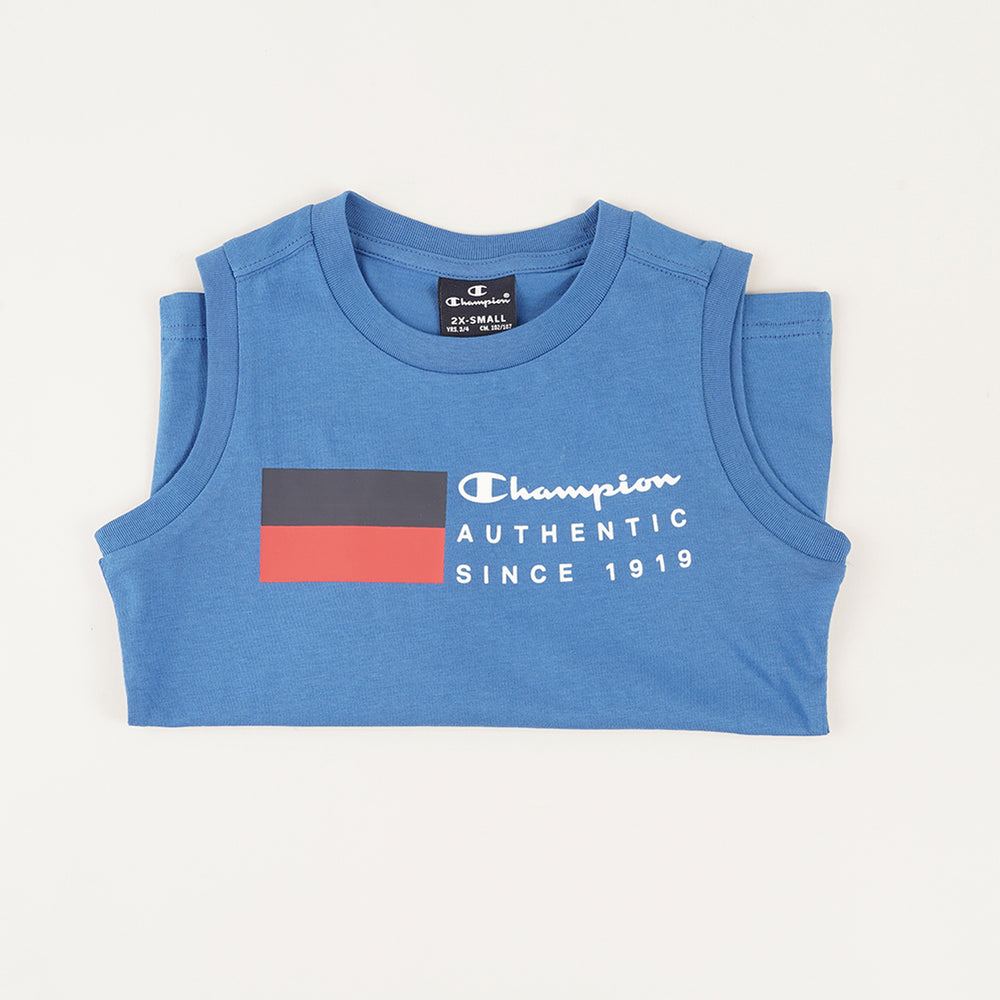 
                  
                    CHAMPION GS571
                  
                