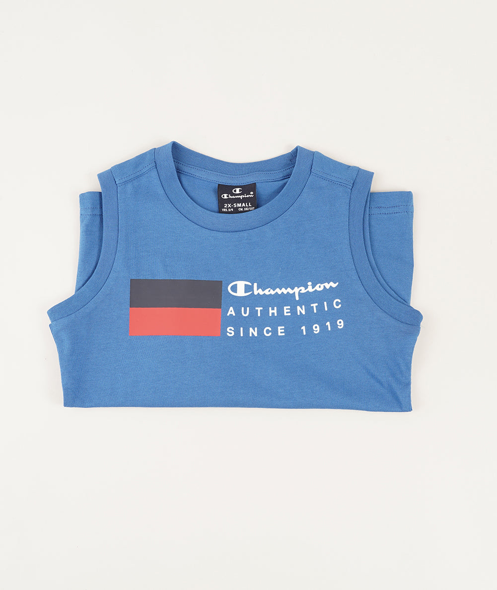 
                  
                    CHAMPION GS571
                  
                