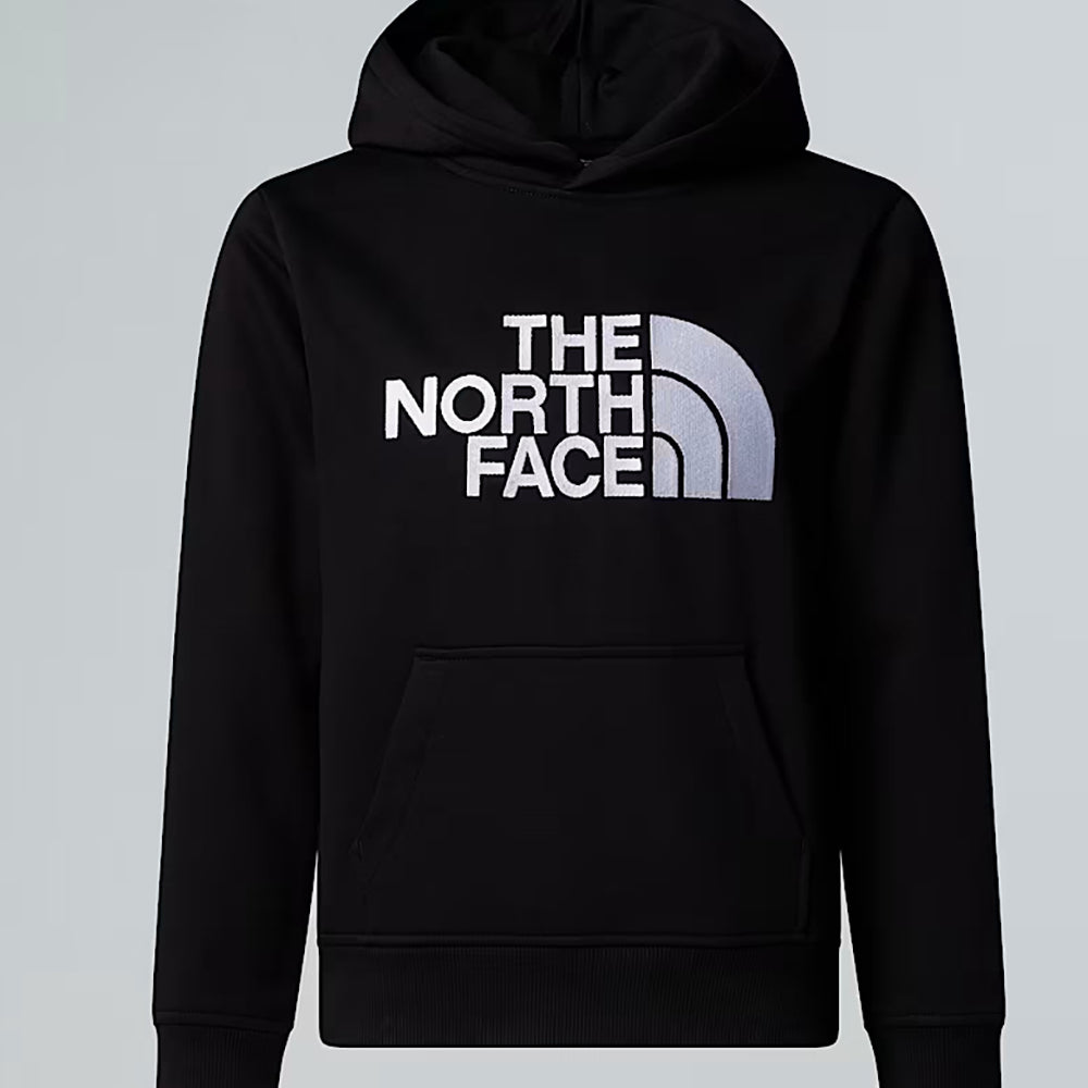 
                  
                    THE NORTH FACE DREW PEAK HOODIE
                  
                