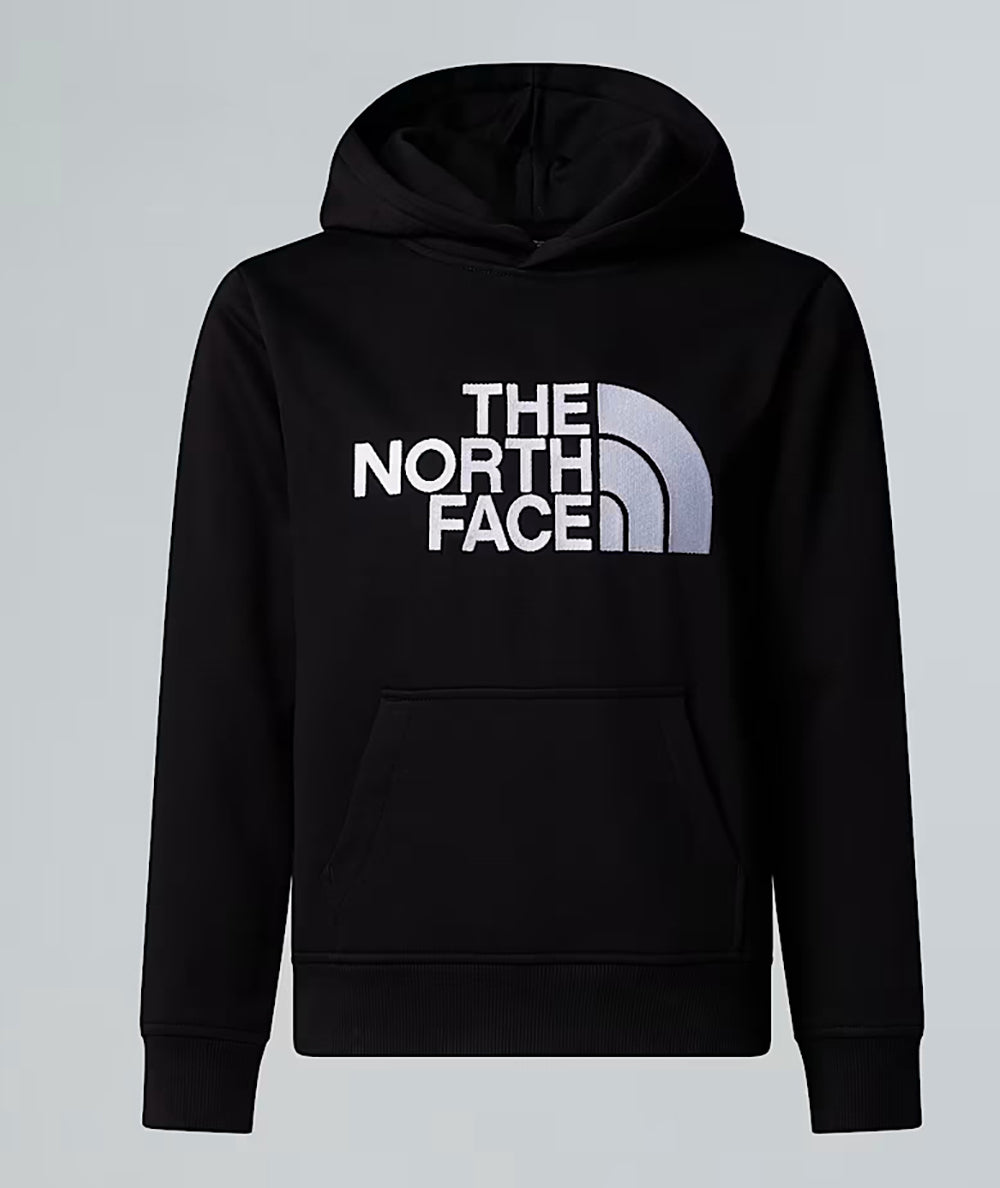 
                  
                    THE NORTH FACE DREW PEAK HOODIE
                  
                