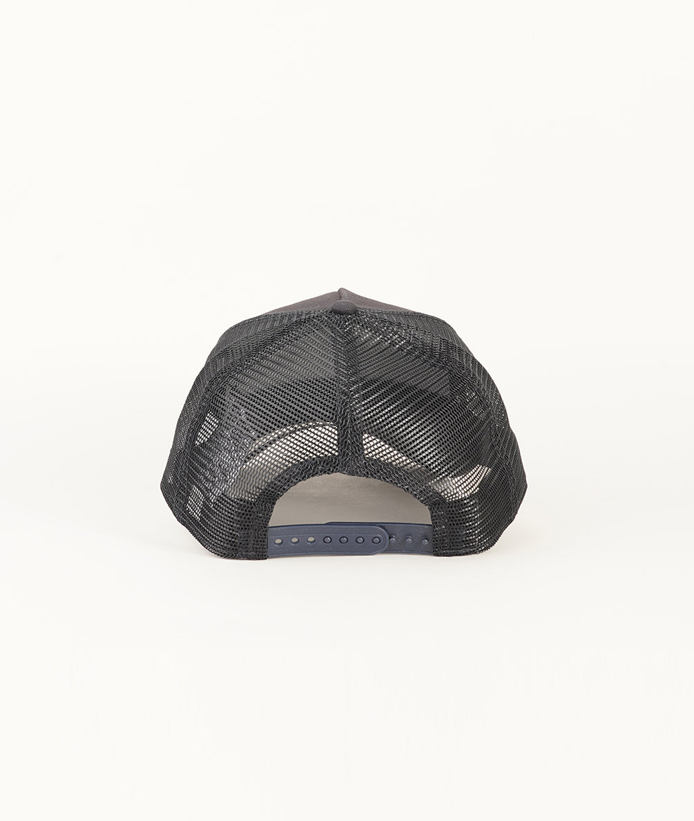 
                  
                    NEW ERA TONAL ER TRUCKER
                  
                