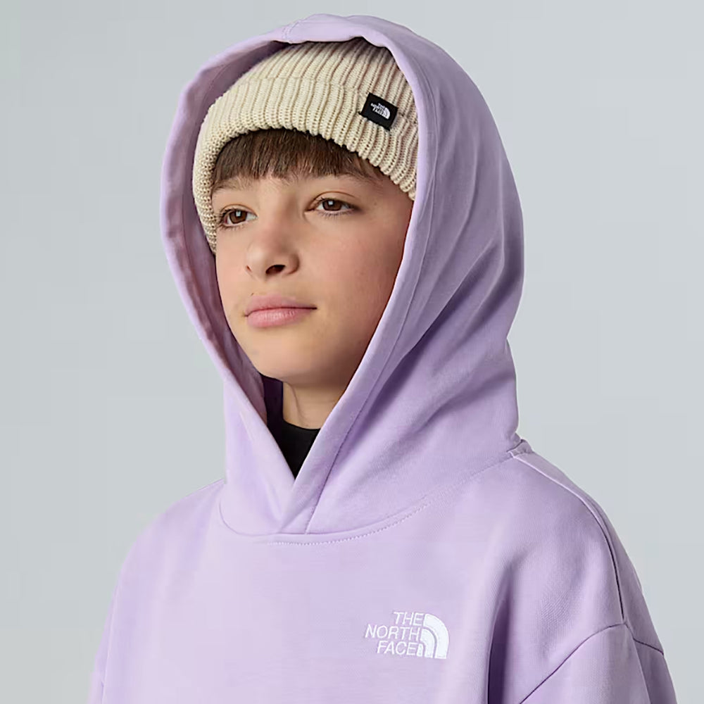 
                  
                    THE NORTH FACE FELPA CON CAPPUCCIO
                  
                