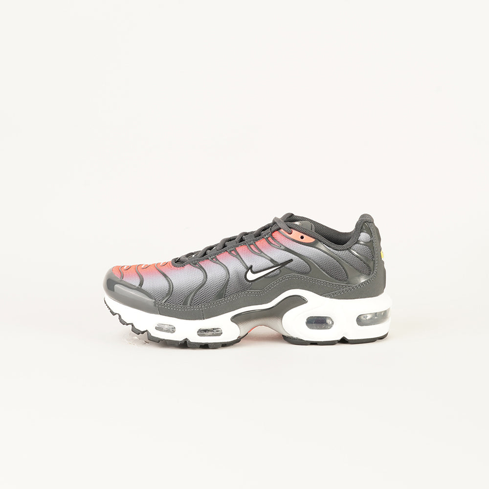 
                  
                    NIKE AIR MAX PLUS
                  
                