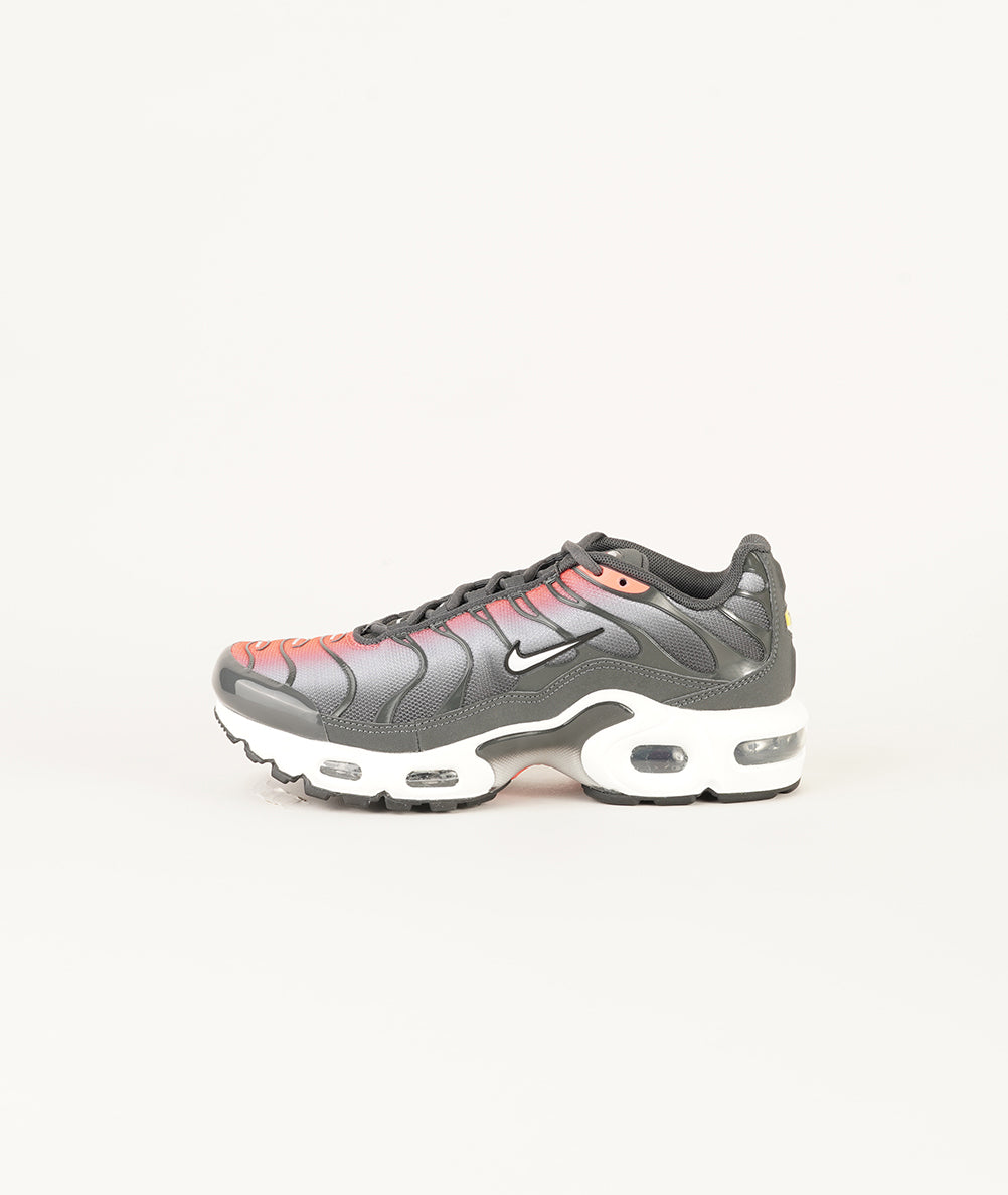 
                  
                    NIKE AIR MAX PLUS
                  
                