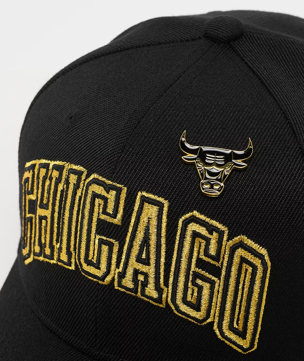 
                  
                    MITCHELL & NESS NBA PINNED GOLD PRO SNAPBACK
                  
                