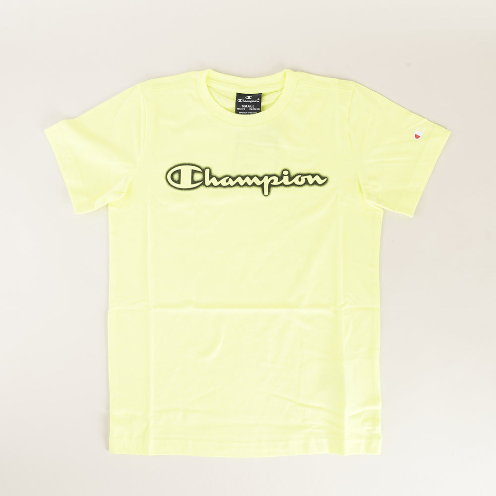 
                  
                    CHAMPION CHA YF002
                  
                