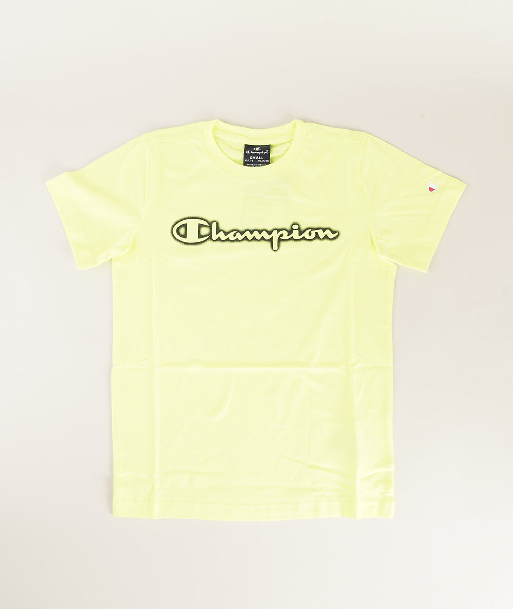
                  
                    CHAMPION CHA YF002
                  
                
