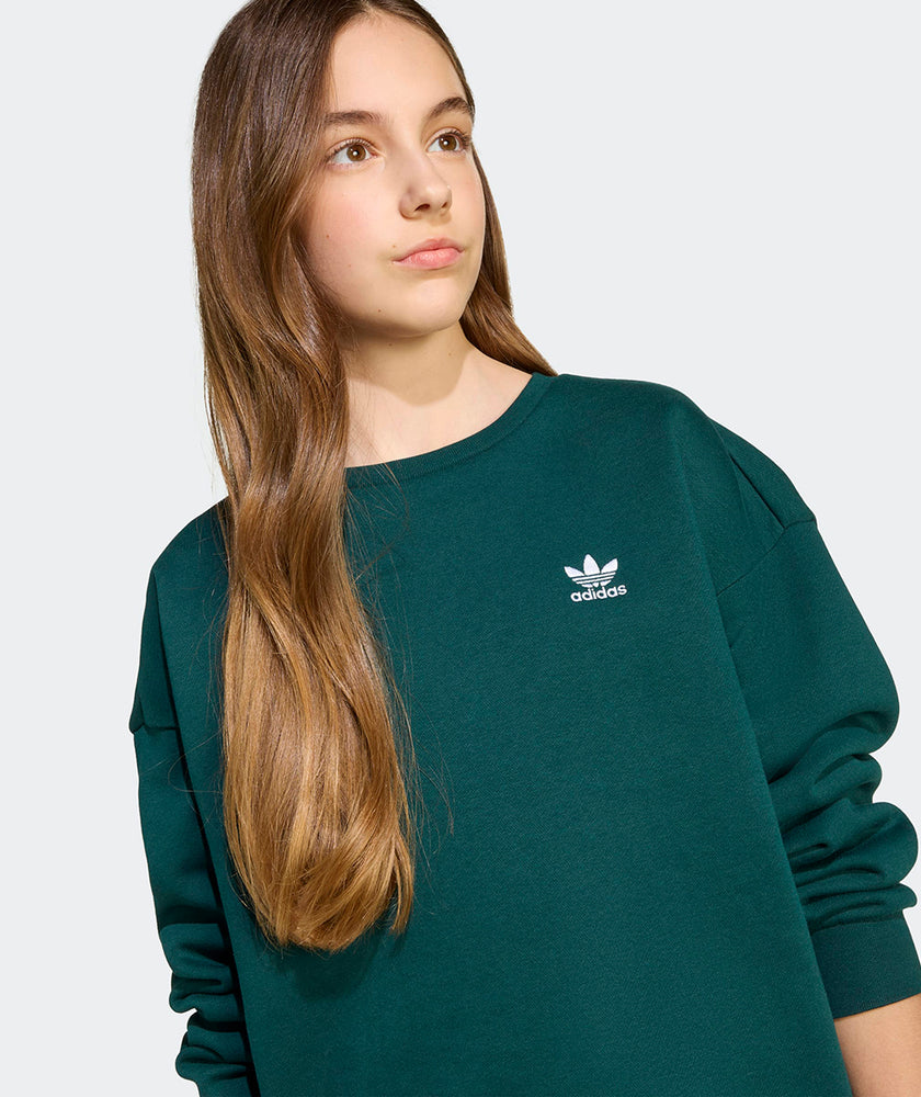 
                  
                    ADIDAS FELPA CON CAPPUCCIO BOYFRIEND
                  
                
