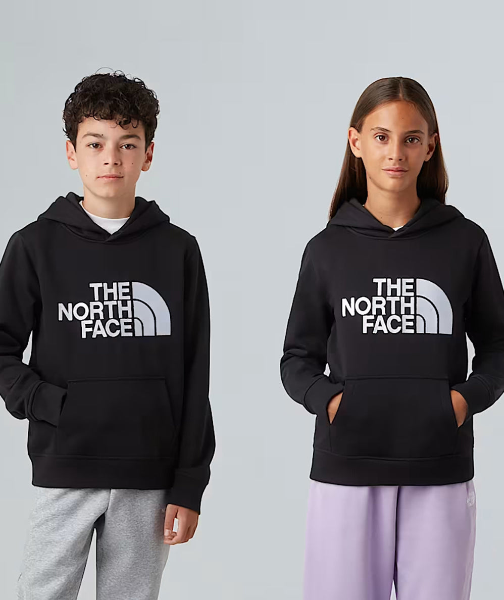 THE NORTH FACE DREW PEAK HOODIE