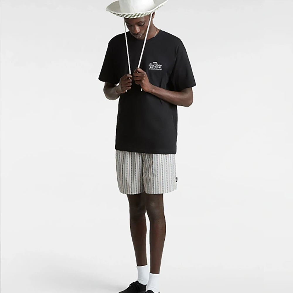 
                  
                    VANS DUAL PALMS
                  
                