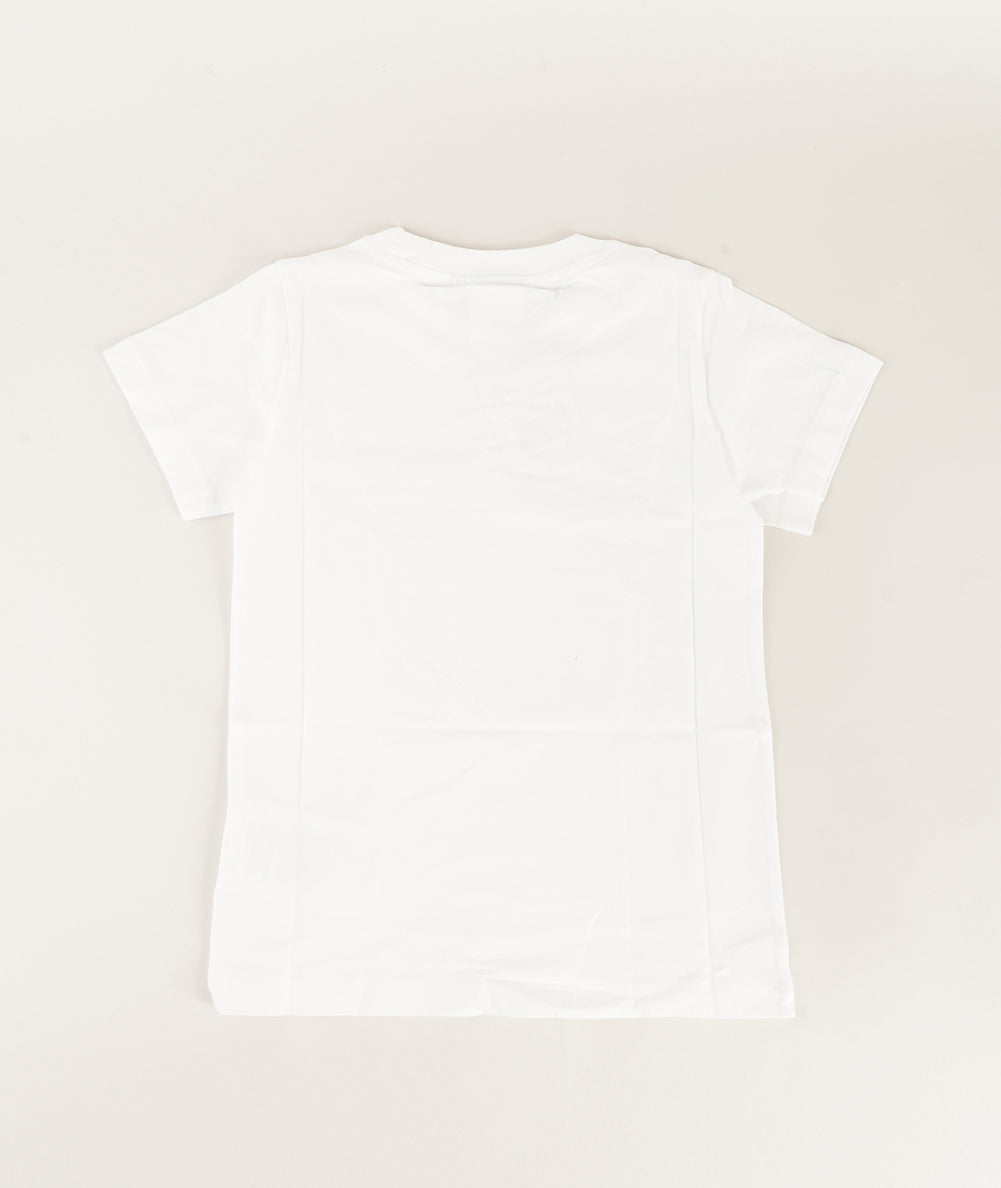
                  
                    CHAMPION SCRIPT LOGO
                  
                