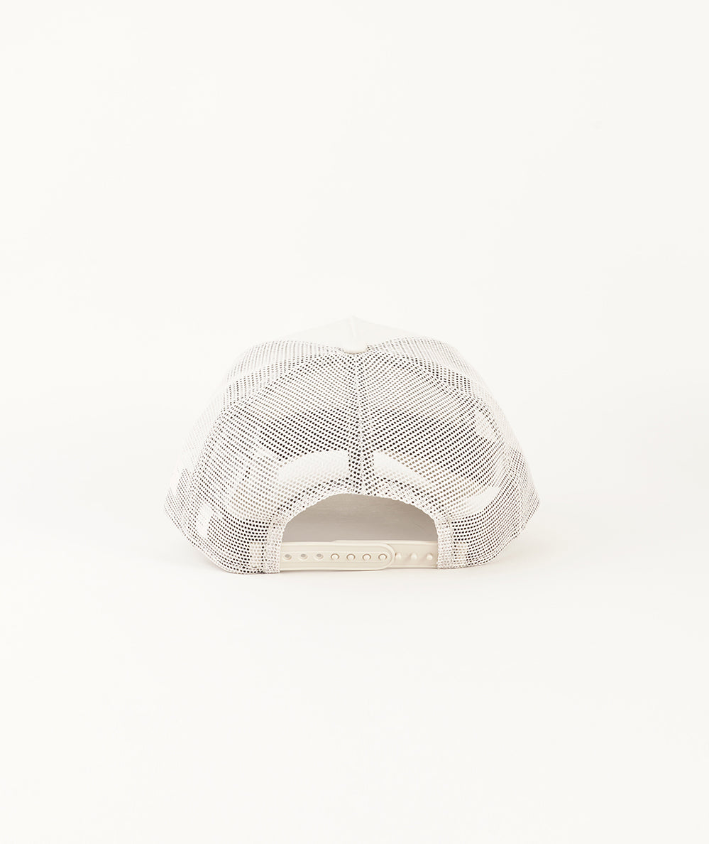
                  
                    NEW ERA TONAL ER TRUCKER
                  
                