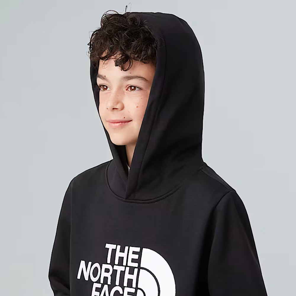 
                  
                    THE NORTH FACE DREW PEAK HOODIE
                  
                