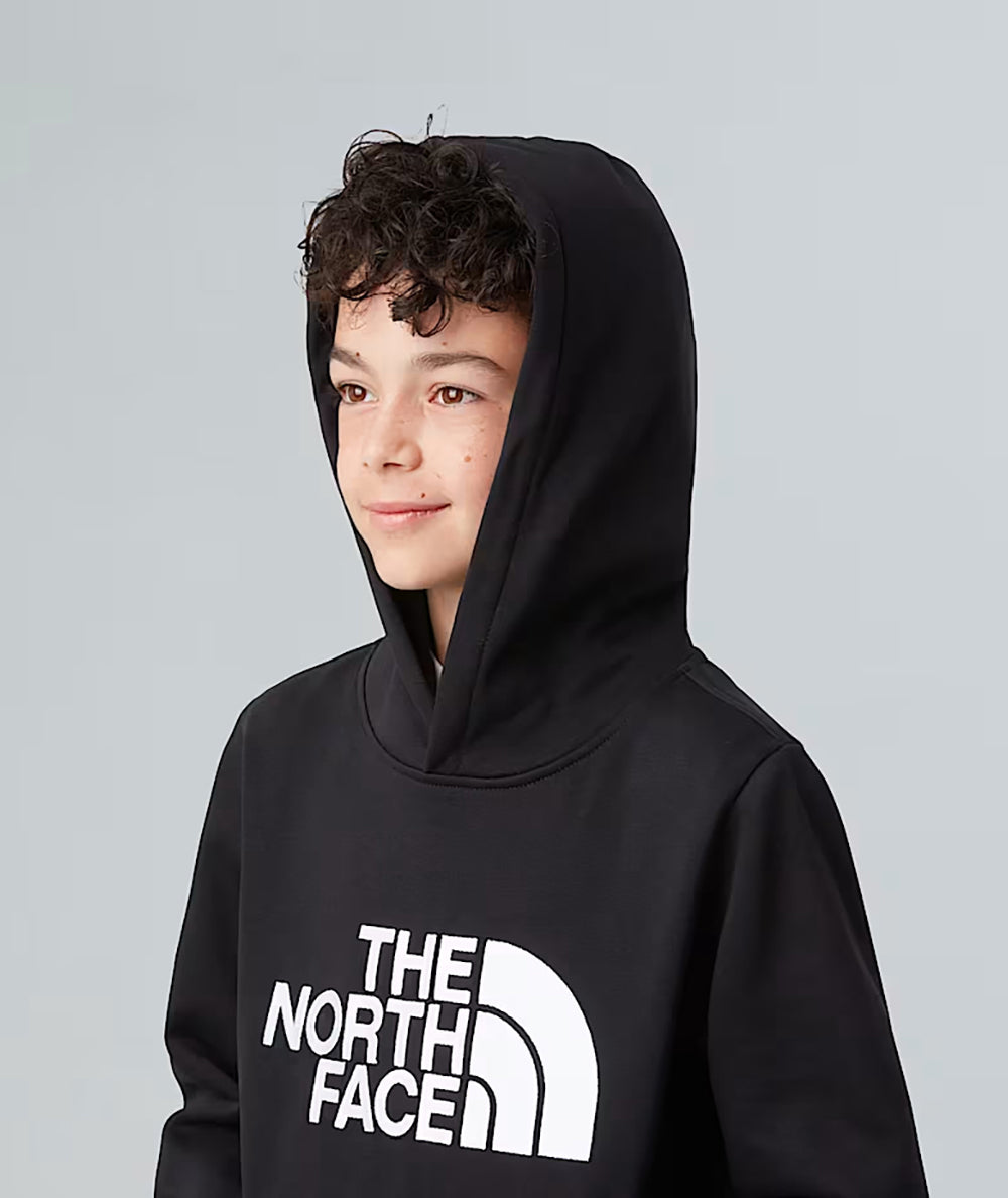 
                  
                    THE NORTH FACE DREW PEAK HOODIE
                  
                