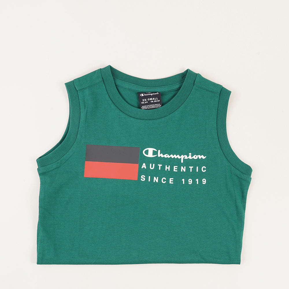 
                  
                    CHAMPION GS571
                  
                