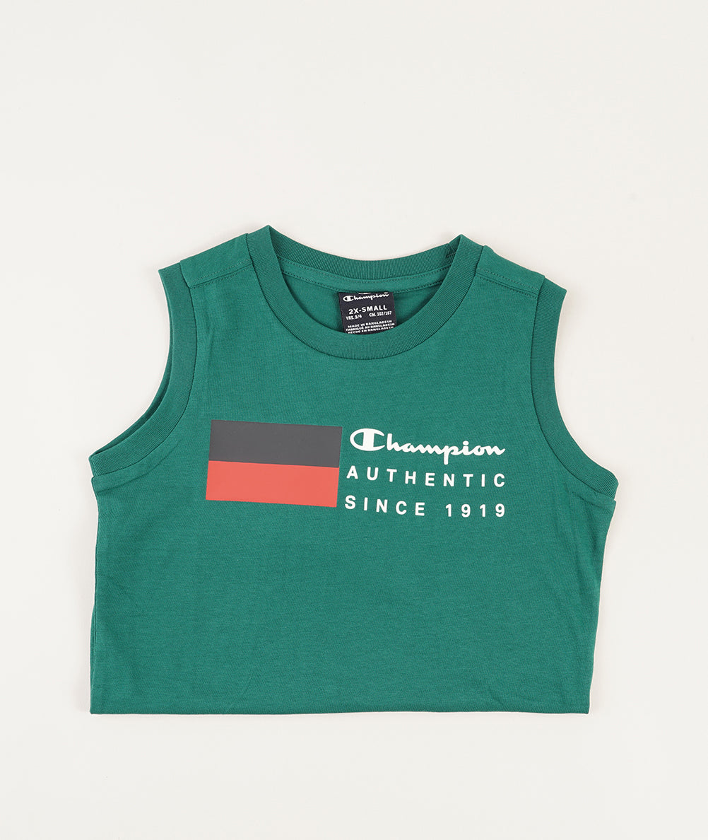 
                  
                    CHAMPION GS571
                  
                